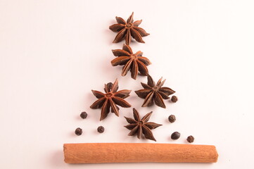 Cinnamon stick and star anise spice.