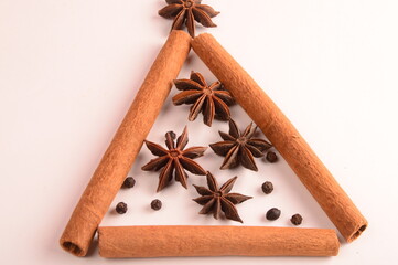 Cinnamon stick and star anise spice.