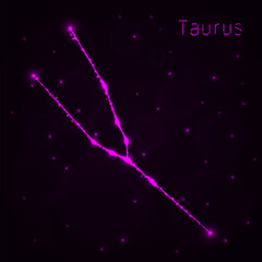 Taurus silhouette of lights