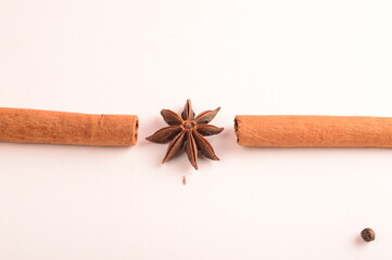Cinnamon stick and star anise spice.