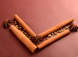 Cinnamon stick and star anise spice.