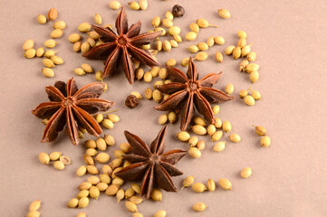 Cinnamon stick and star anise spice.