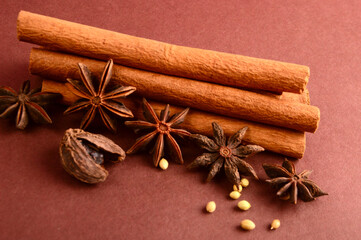 Cinnamon stick and star anise spice.