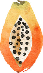 cute fruit abstract watercolor digital painting