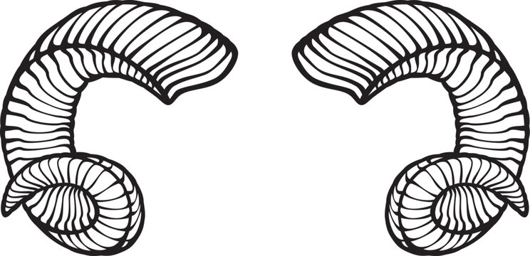 Ram Horns Black and White. Vector Illustration.
