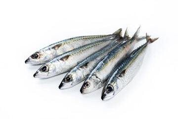Raw mackerel fish isolated on white background