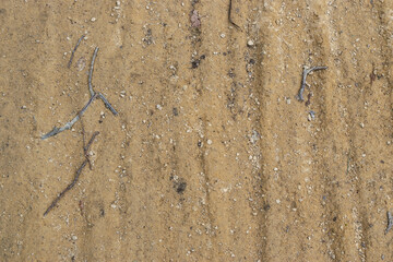 bicycle tire tracks on a dirt road