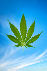 A cannabis leaf flies up into the blue sky