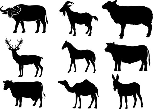 Silhouettes of cows, bull, sheep,  buffalo, camel, horse, stag and goat on white background. Mammal animal type. Livestock High resolution image. 