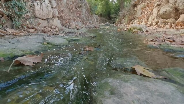 A beautiful stream of flowing water in the Ein Hamad nature reserve in Jerusalem - Israel