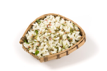 acacia flower isolated on white background, Robinia pseudoacacia . White acacia