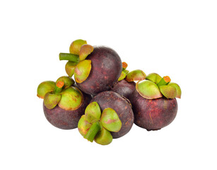 Fresh mangosteen on   transparent png