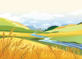 Autumn landscape of mountains and hills of the river valley. Ears of wheat in nature. Vector illustration