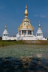 Pond with Lotus (Nelumbo) in front of Maha Rattana Chedi of Wat Thung Setthi, Reflection, Khon Kaen, Isan, Thailand, Asia