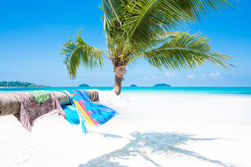 tourist clothes on the coconut tree beside the white beach and blue sea on summer vacation