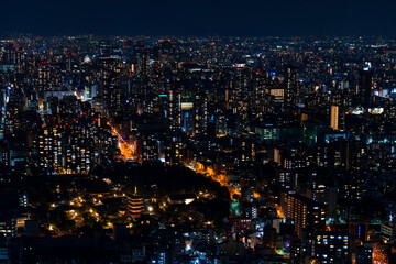 Fototapeta na wymiar 大阪市の夜景