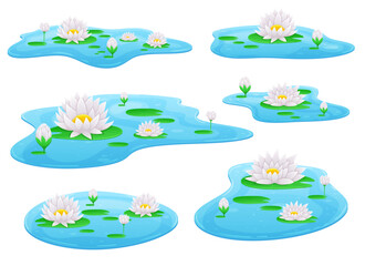 Water lily flower vector design illustration isolated on background