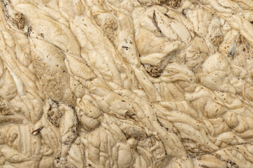 Dirty foam close-up, top view. Water pollution is an environmental problem