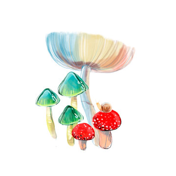 Watercolour illustration of colourful poison mushrooms for posters, cards, textile, stickers, children’s book and rooms.