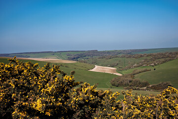 View across the South Downs from Butts Brow, Eastbourne