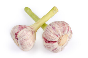 Heads of the young purple garlic on a white background