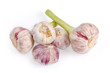 Young purple garlic and garlic last year's harvest