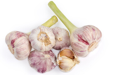 Young purple garlic and garlic last year's harvest