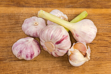 Young garlic and garlic last year's harvest on cutting board
