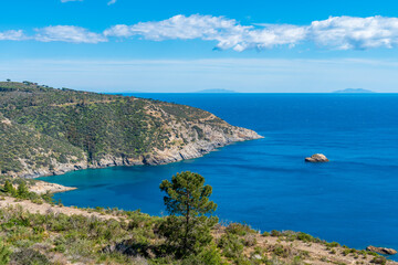 Fototapeta na wymiar Coastline of Elba island in springtime