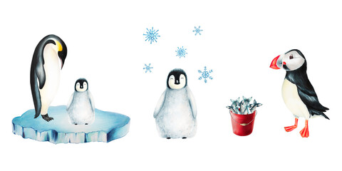 Watercolor puffin bird with red bucket full of fish and king penguins on ice isolated. Hand painting realistic Arctic and Antarctic ocean mammals. For designers, decoration, postcards, wrapping paper