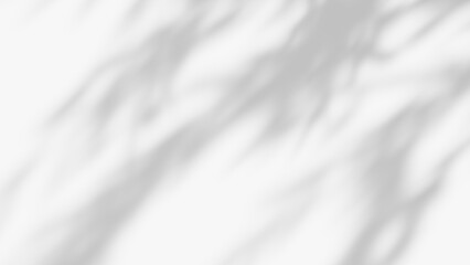 Naklejka premium leaf shadow overlay effect. white background with tropical leaves shadows