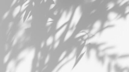 leaf shadow overlay effect. white background with tropical leaves shadows