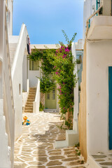 Fototapeta na wymiar Whitewashed houses and streets of Greek island towns in summer