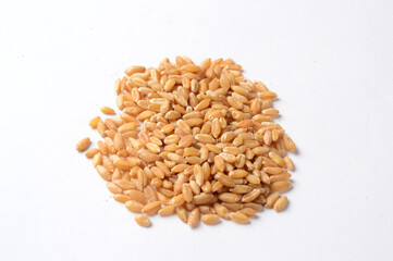 Wheat grains and spikelet on white background.