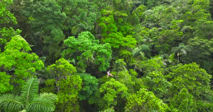 Distant aerial drone view: a person descends from a steep mountain to a valley on a sweeping zipline, surrounded by the vegetation of the jungle.
