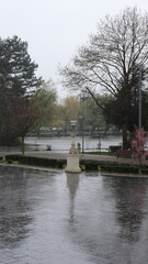 Obraz premium Walk in Cluj central park on a rainy spring day