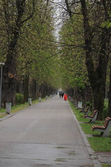 Walk in Cluj central park on a rainy spring day