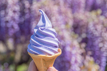 あしかがフラワーパークの藤ソフト