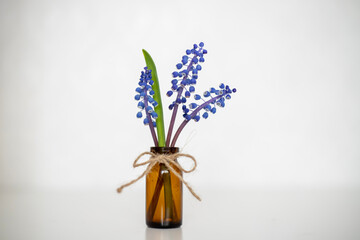 Bouquet of purple muscari. Spring mood