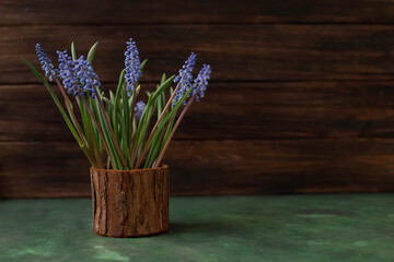 Bouquet of purple muscari. Spring mood