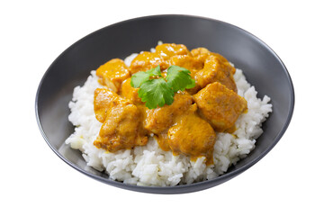 plate of chicken with curry sauce and rice isolated on transparent background