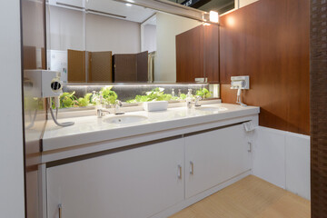 洗面所、洗面台