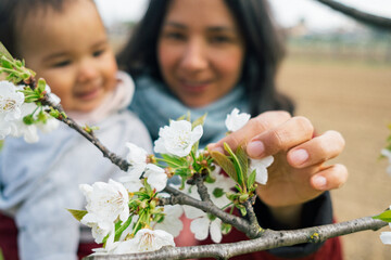 close up of smiling mother and baby daughter picking up cherry flowers during blossom season in spring. concept of motherhood and enjoying time together in the outdoors nature