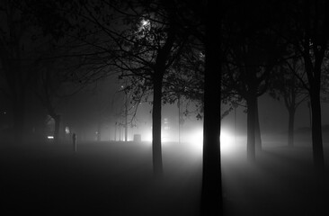 Grayscale shot of a foggy park in the evening in Poznan, Poland.