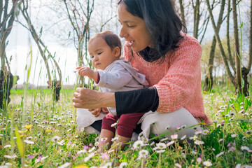 mother and baby daughter picking up flowers and daisies in meadows during blossom season on a sunny spring day. concept of motherhood and enjoying time together in the outdoors nature