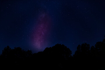 Fototapeta na wymiar Milky Way rising over trees near Raeford NC