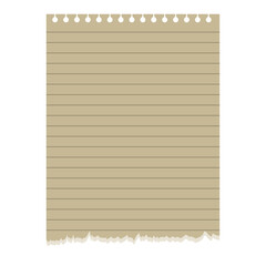 Obraz premium Ripped Papper Aesthetic