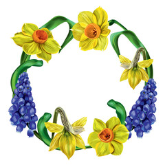 Wreath of yellow daffodils and blue muscari. Vector illustration. Floral design elements. Greeting cards, wedding invitations, floral banners.