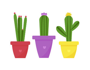 Set of blooming exotic cacti in flower pots, pink cactus, yellow cactus, lilac cactus in flat style. Home plants on a white background. Vector illustration eps 10.
