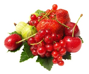 Fresh berries isolated